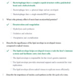 Microbiology (BIO 246) 2026 Exam 2 Practice Questions and Answers